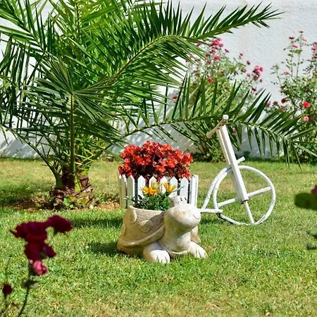 Apartment In With Sea Views, Balcony, Air Conditioning, Wifi 566-2 *